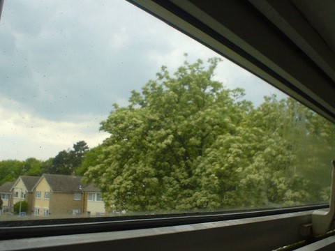 Double glazing condensation 4